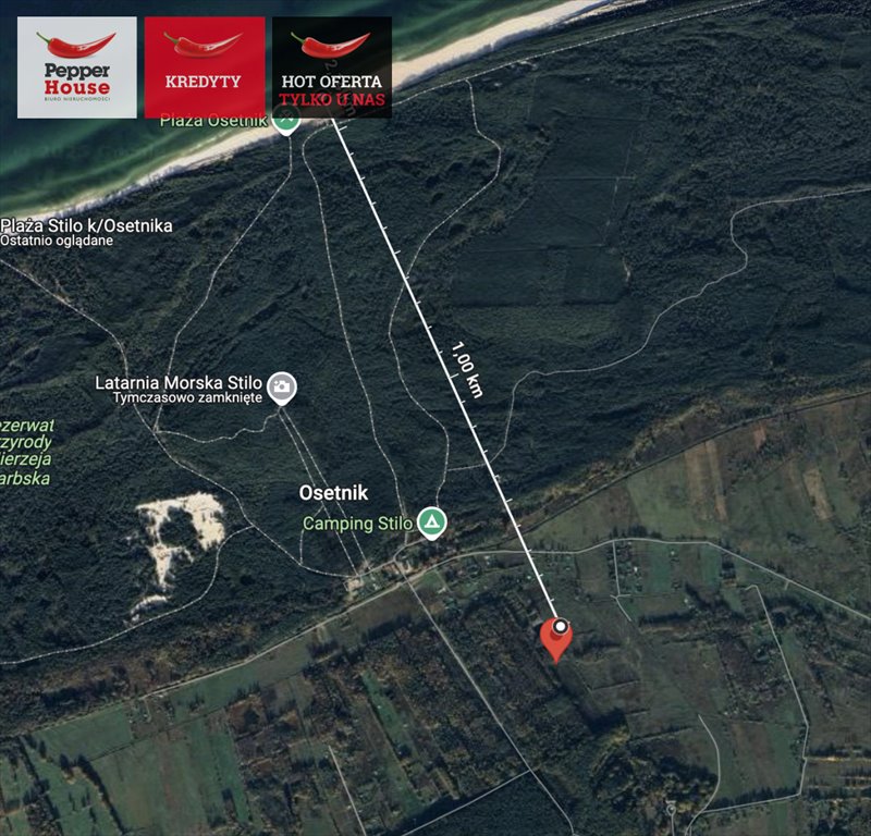 Działka gospodarstwo rolne na sprzedaż Sasino, Cisowa  4 213m2 Foto 1