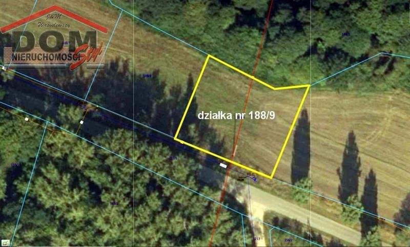 Działka budowlana na sprzedaż Gudowo  1 342m2 Foto 5