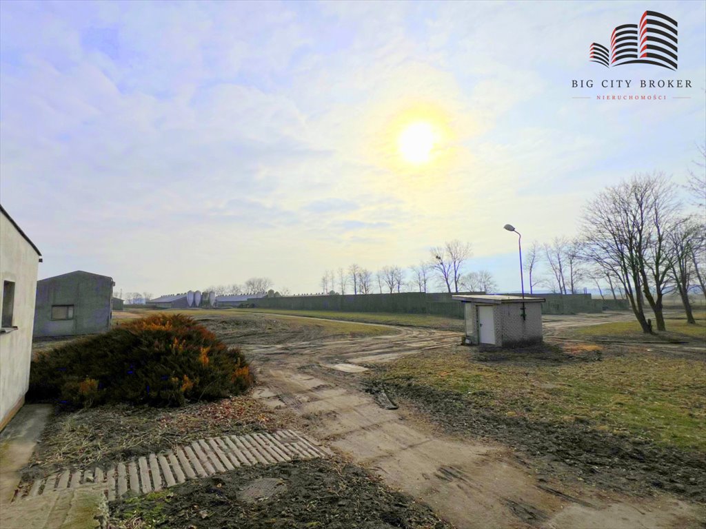 Działka rolna 324 ha z budynkami do produkcji zwierzęcej Bełżec  3 238 323m2 Foto 1