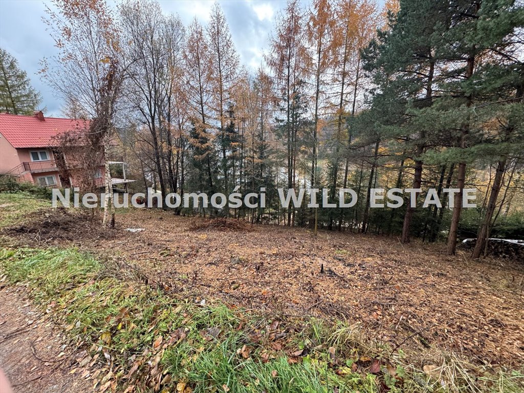 Działka 7,8 arów z widokiem na jezioro Solińskie Polańczyk  780m2 Foto 1