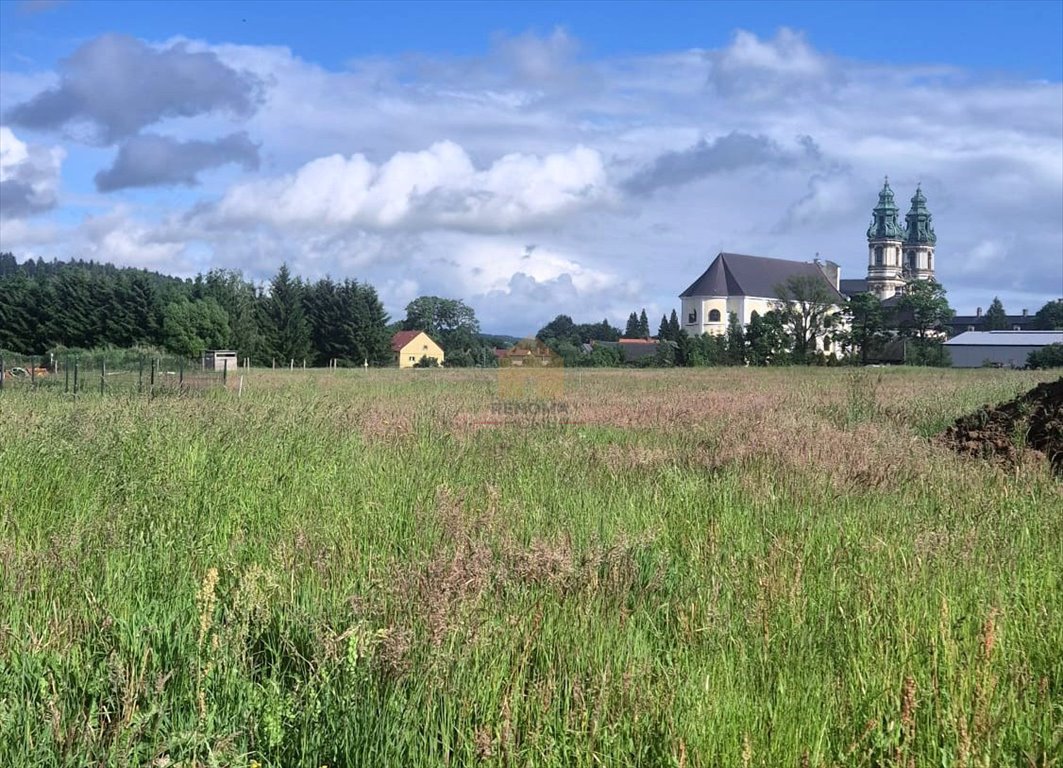 Zdjęcie 3