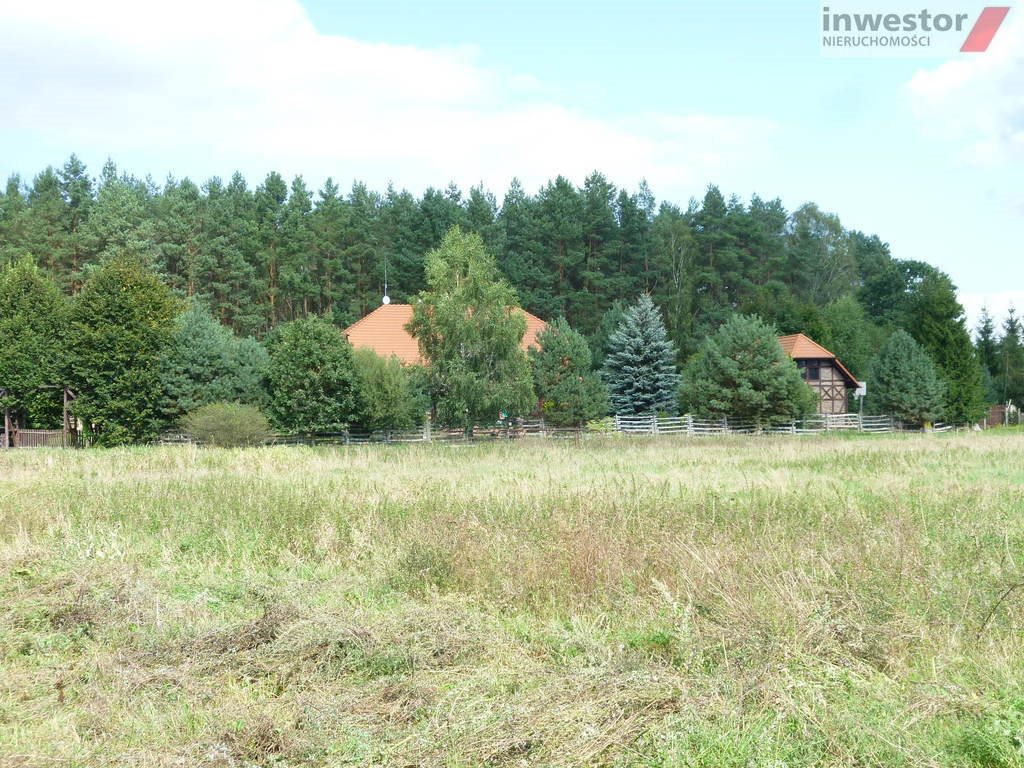 Działka budowlana na sprzedaż Wołczkowo 3 000m2 Foto 1 Działka budowlana na sprzedaż Wołczkowo 3 000m2 Foto 1