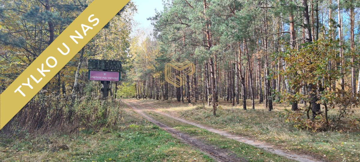 Do sprzedania urokliwe działki 3000 m² pod dom w Kampinosie Wólka, Jaśminowa  3 000m2 Foto 1