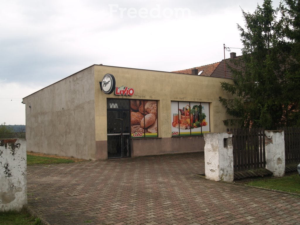 Lokal użytkowy na sprzedaż Błota  78m2 Foto 1