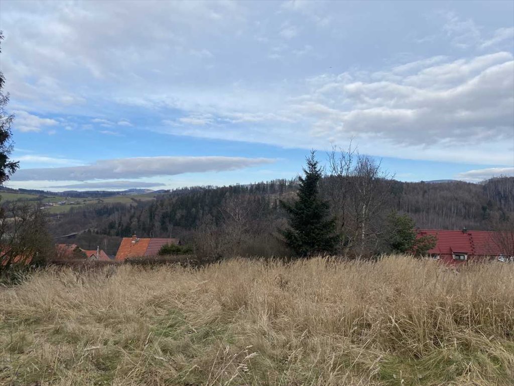 Działki pod zabudowę z widokiem na Nową Rudę polecam Nowa Ruda  1 443m2 Foto 1