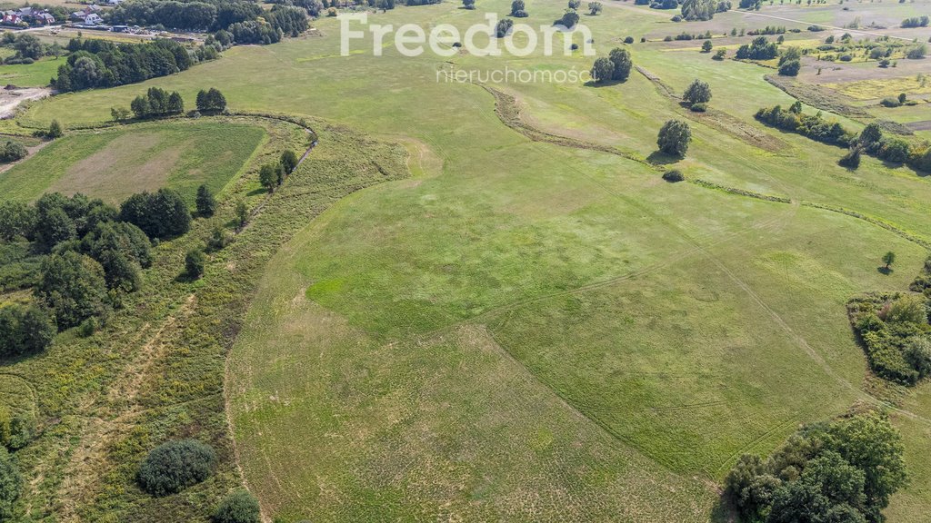 Działka rolna na sprzedaż Ostrówiec  3 924m2 Foto 11