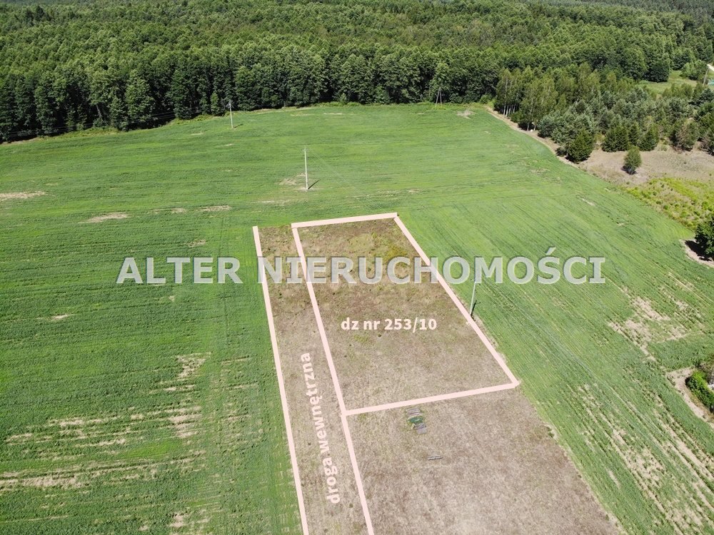 Działka inna na sprzedaż Borki  1 499m2 Foto 2