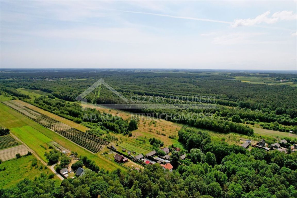 Działka leśna na sprzedaż Uściąż-Kolonia, Uściąż Kolonia  23 000m2 Foto 9