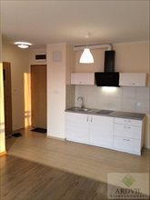 Mieszkanie dwupokojowe na wynajem Białystok, Centrum, Kaczorowskiego 37m2 Foto 1 Mieszkanie dwupokojowe na wynajem Białystok, Centrum, Kaczorowskiego 37m2 Foto 1