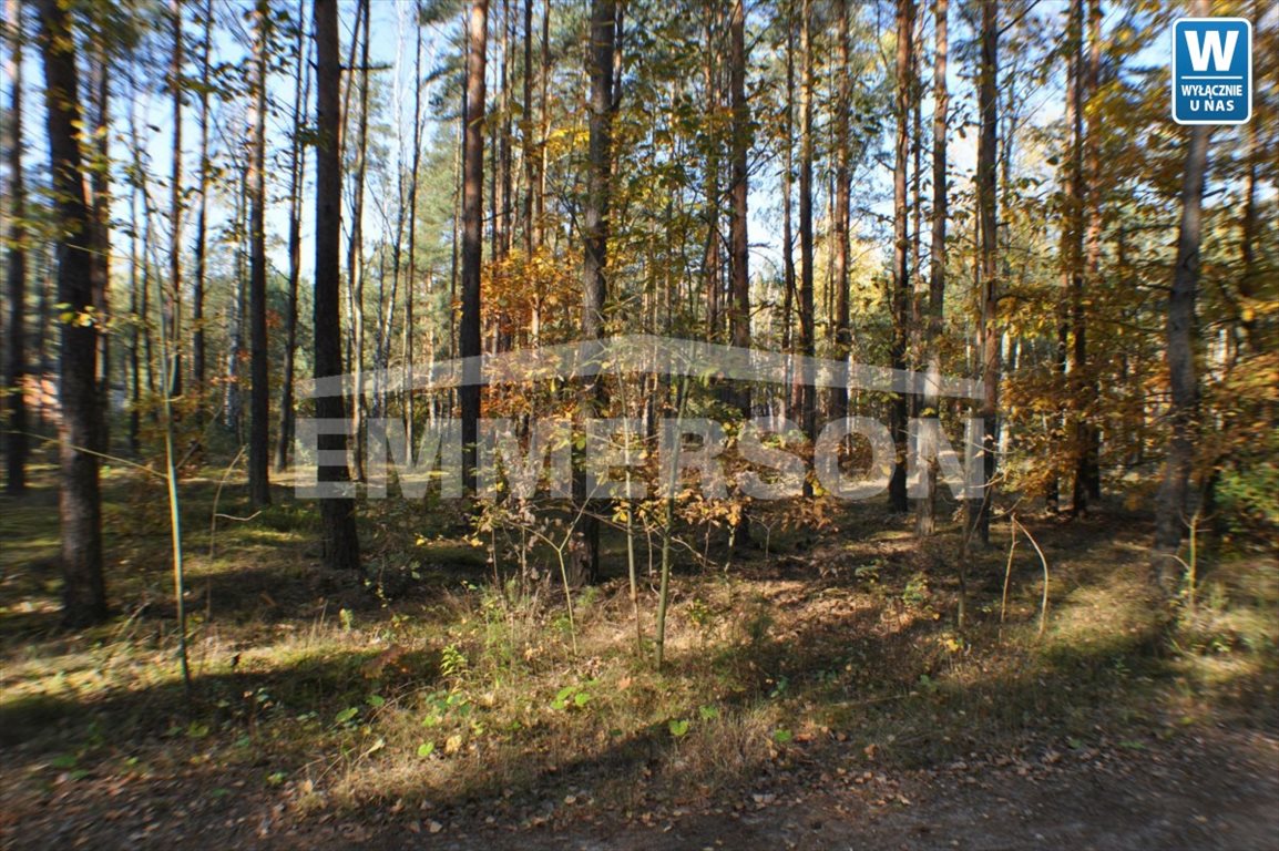 Działka leśna na sprzedaż Warszawa, Wesoła  1 595m2 Foto 1