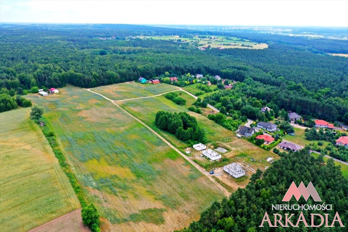 Malownicza działka 3637 m² przy lesie w Nowym Witoszynie Nowy Witoszyn  3 637m2 Foto 1