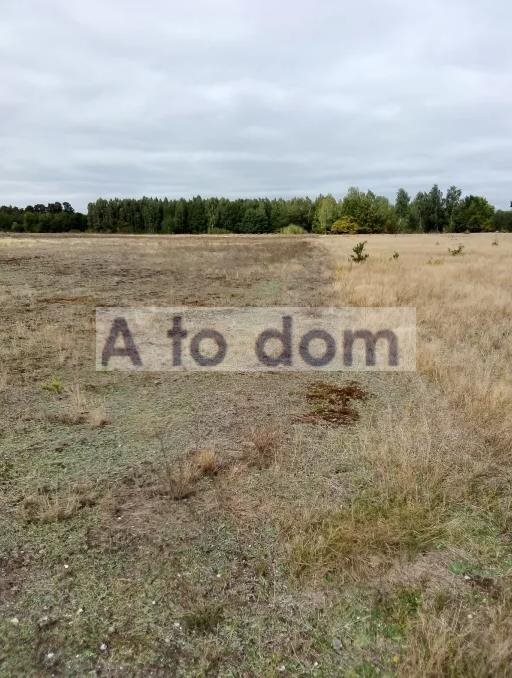 Działka 5,5 ha pod zabudowę letniskową, blisko Bugu - polecam! Stasiopole  54 900m2 Foto 1