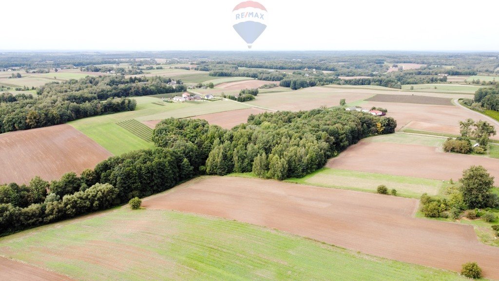 Działka budowlana na sprzedaż Rąblów  10 600m2 Foto 8