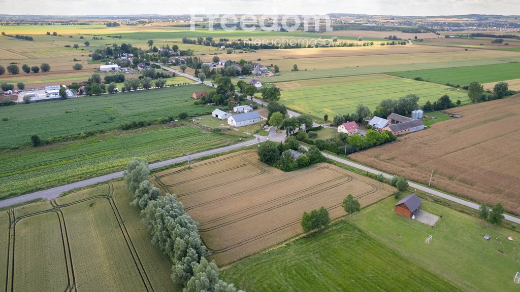 Działka budowlana na sprzedaż Ostrowite, Rzepakowa  2 449m2 Foto 5