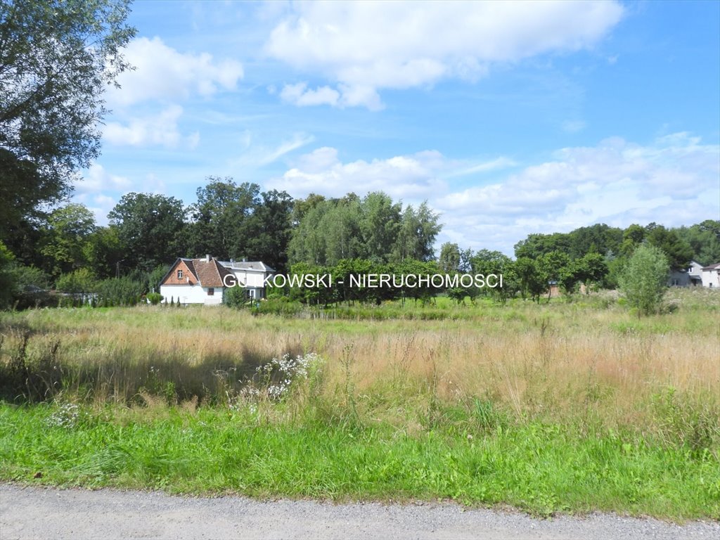 Działka budowlana na sprzedaż Frednowy  4 802m2 Foto 1