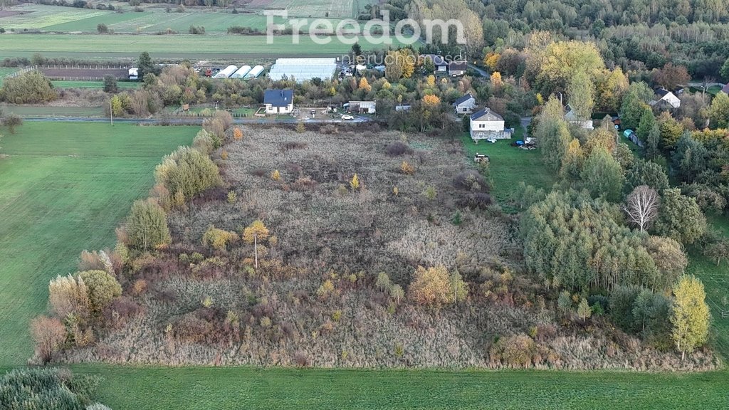 Działka inna na sprzedaż Broniów  6 500m2 Foto 6