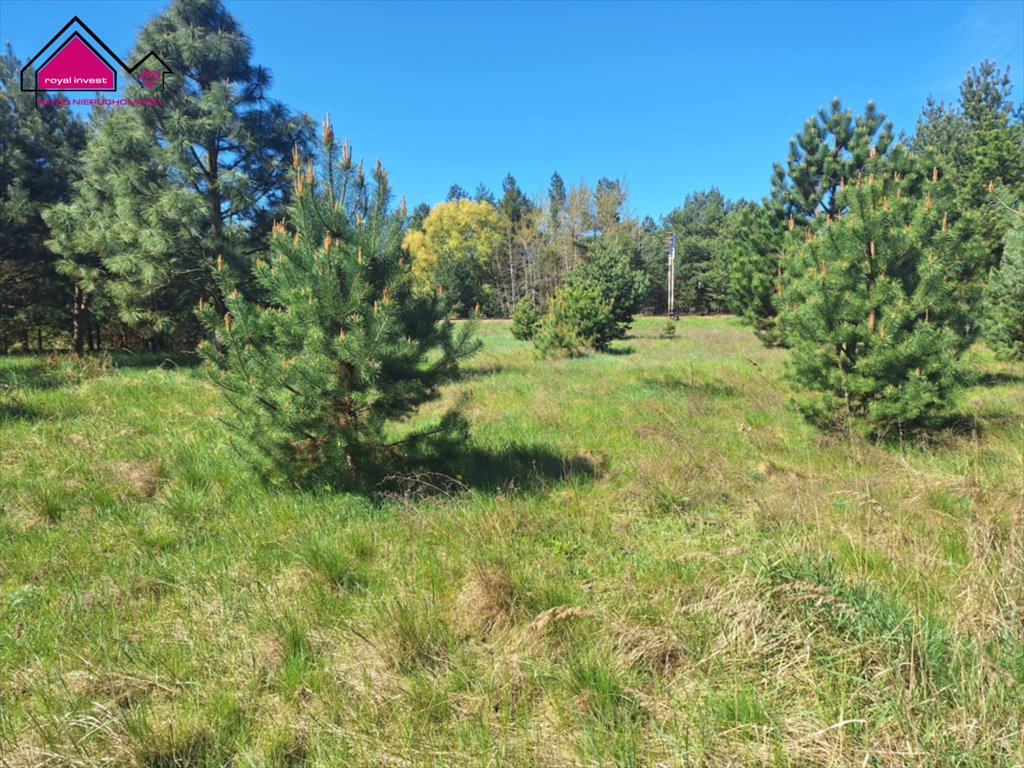 Polecam działkę 2036 m² w Wygodzie blisko jeziora i lasu Wygoda  2 036m2 Foto 1
