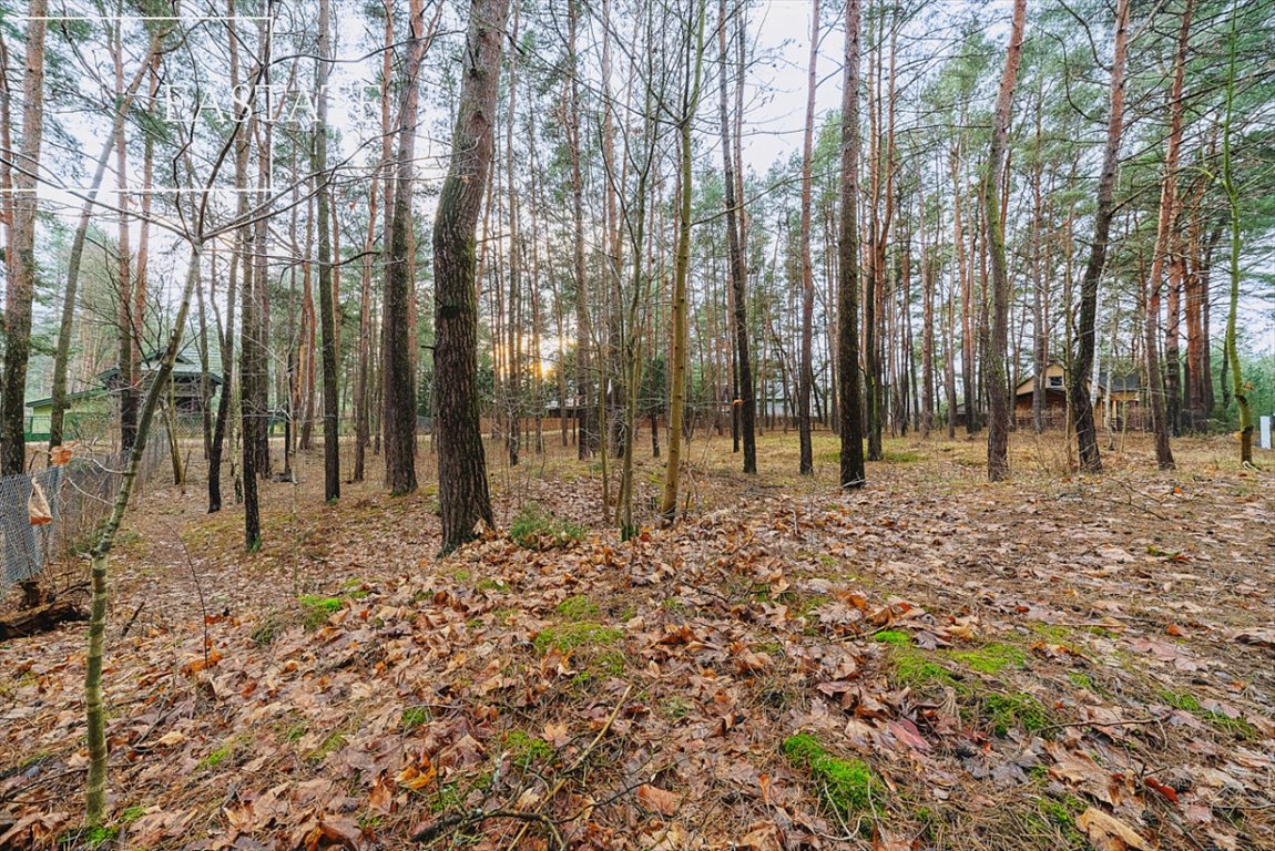 Działka rekreacyjna na sprzedaż Nowy Lubiel, Zakątek  1 600m2 Foto 2