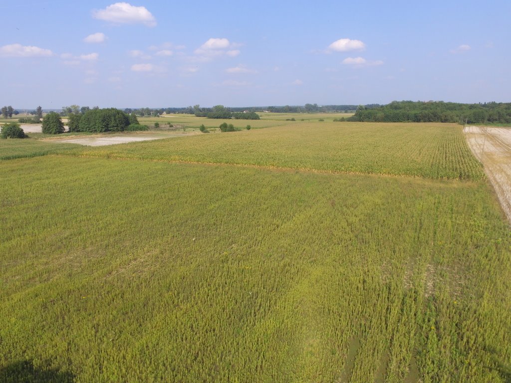 Działka budowlana na sprzedaż Dobra  1 100m2 Foto 3