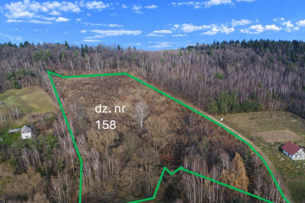 Działka rolna 1,85 ha z możliwością zabudowy i mediów. Wola Lubecka  18 551m2 Foto 1