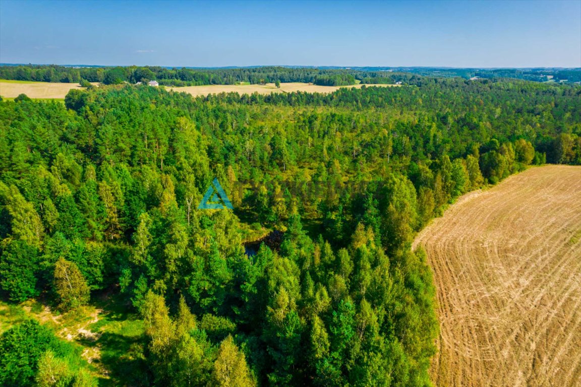 Działka leśna na sprzedaż Staniszewo  7 300m2 Foto 11