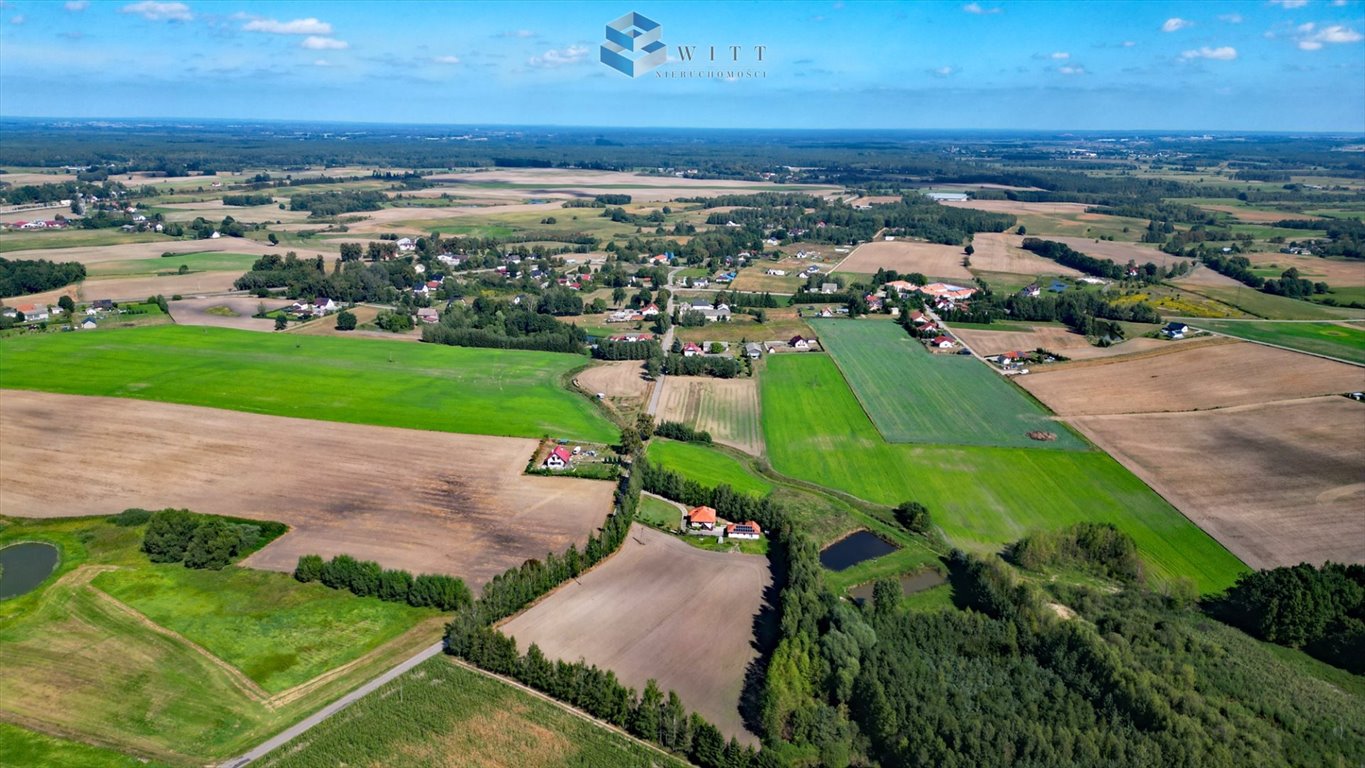 Działka budowlana na sprzedaż Franciszkowo  1 237m2 Foto 6