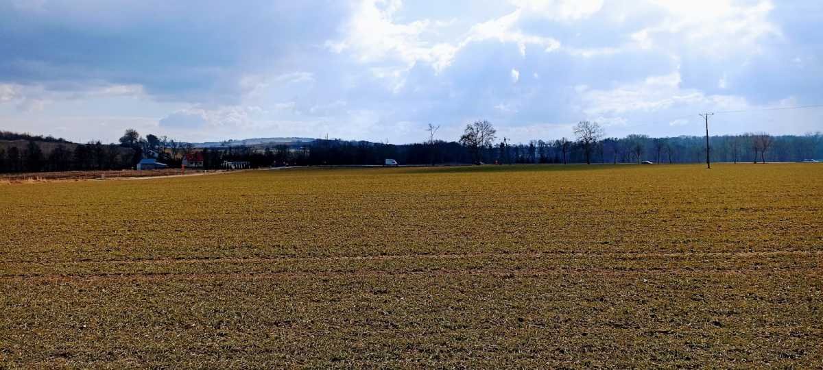 Działka inna na sprzedaż Niemcza  6 000m2 Foto 3