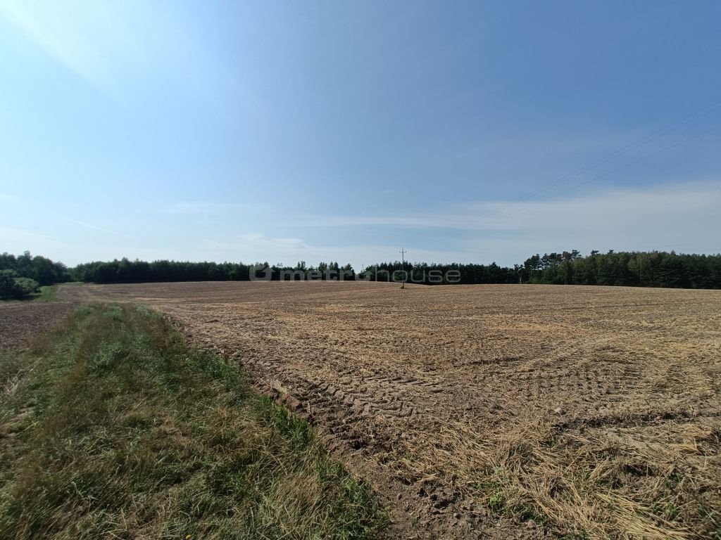 Działka inna na sprzedaż Żagno  22 400m2 Foto 2