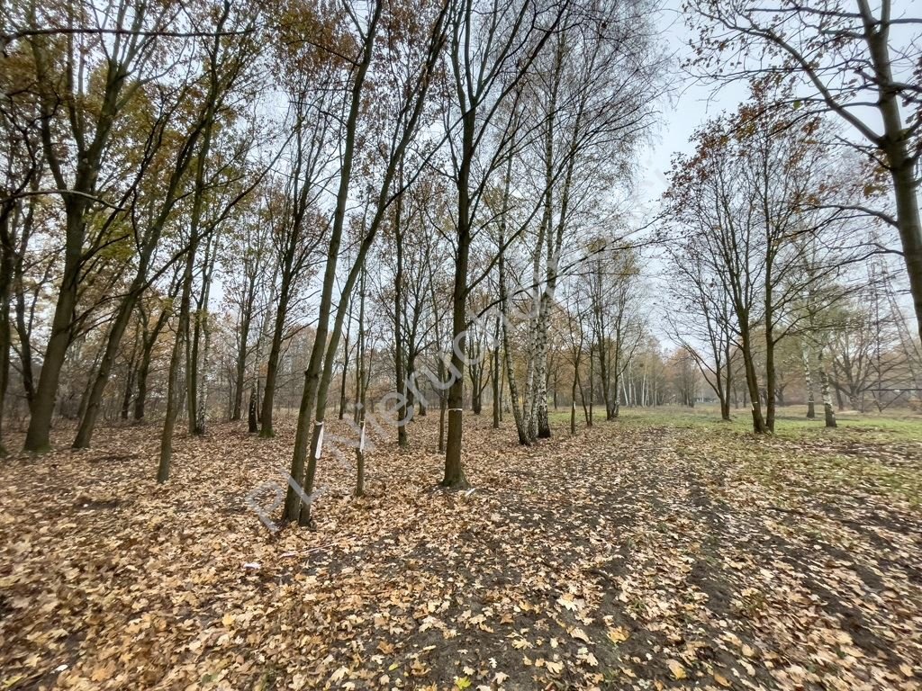 Działka budowlana na sprzedaż Milanówek  1 700m2 Foto 7