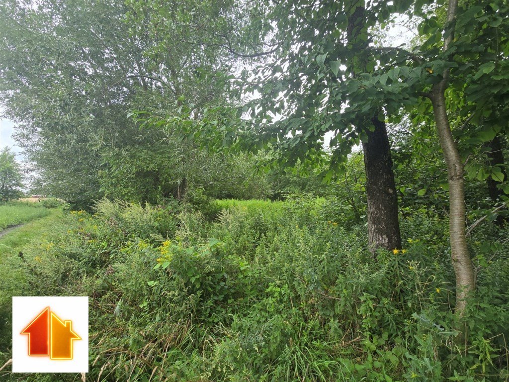 Działka 9300 m² z lasem, dwa wjazdy, cisza i spokój Siecień-Rumunki, 16  9 300m2 Foto 1