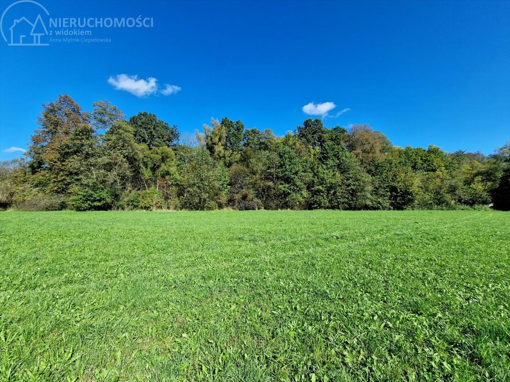 Działka rolna na sprzedaż Strzeszyn  3 900m2 Foto 11