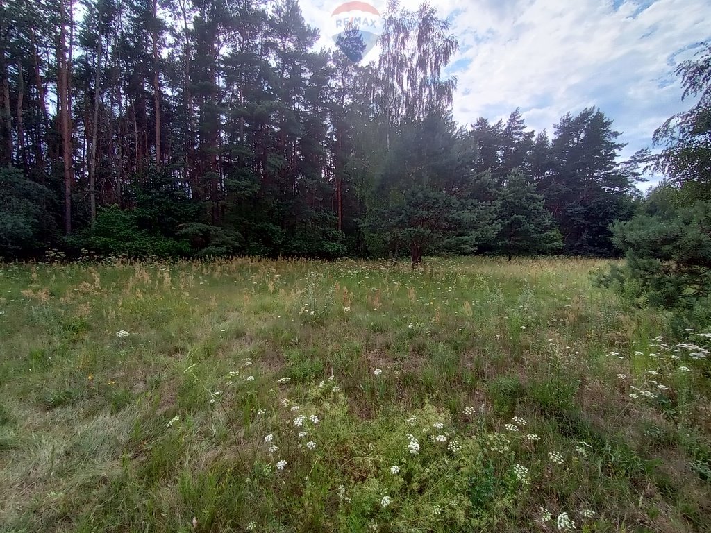 Działka leśna na sprzedaż Ruda  17 407m2 Foto 3