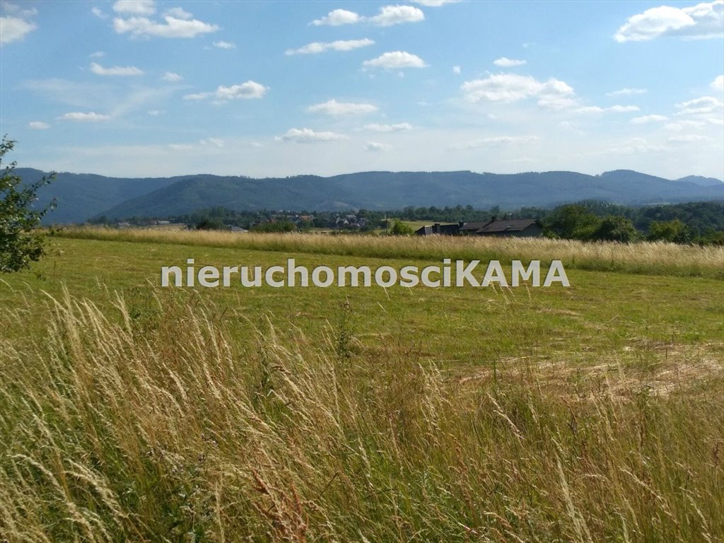 Działka 5741 m² z widokiem na Beskidy, pod zabudowę Bielsko-Biała, Stare Bielsko  5 741m2 Foto 1