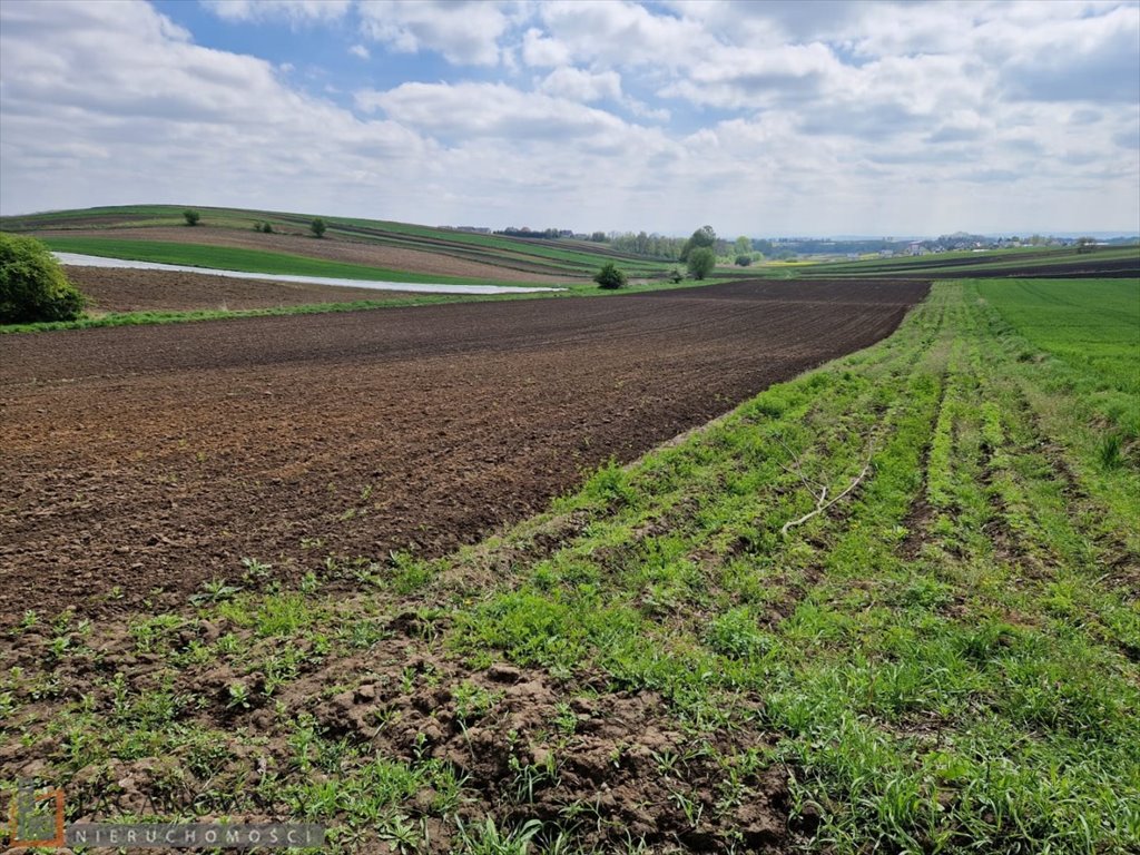 Działka rolna na sprzedaż Kocmyrzów  3 200m2 Foto 1