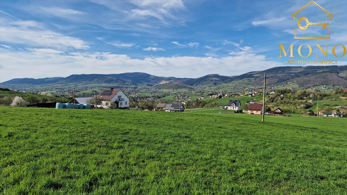 Działka rolna na sprzedaż Krasne Potockie  8 200m2 Foto 2