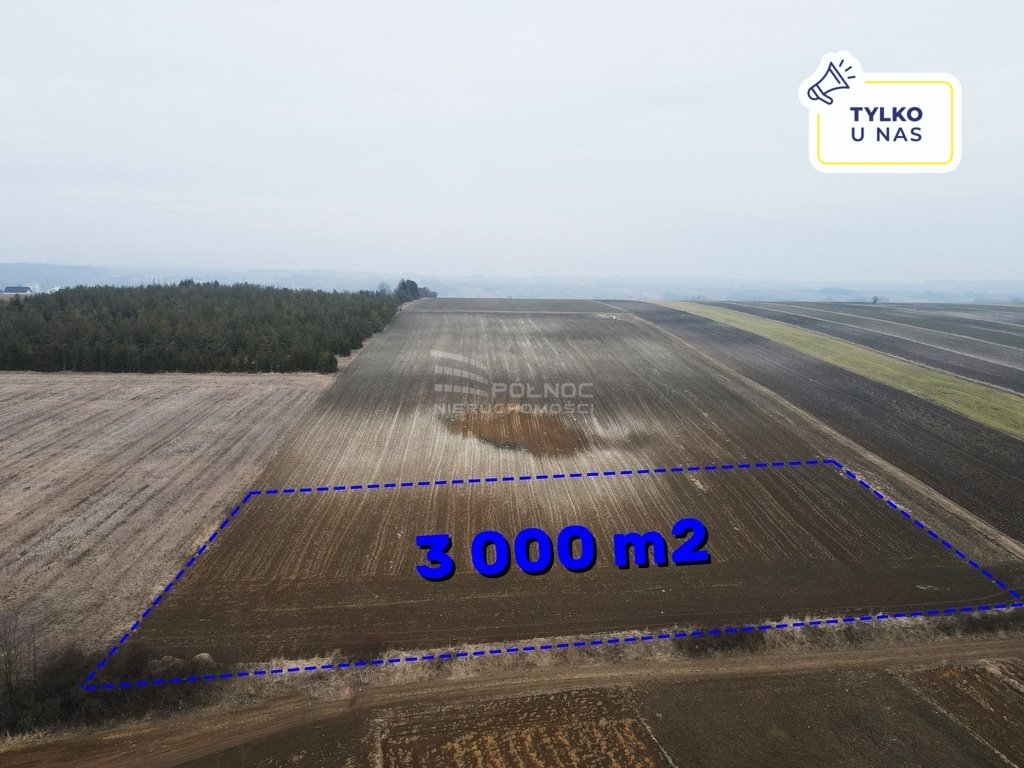 Działka siedliskowa na sprzedaż Imbramowice  3 195m2 Foto 1