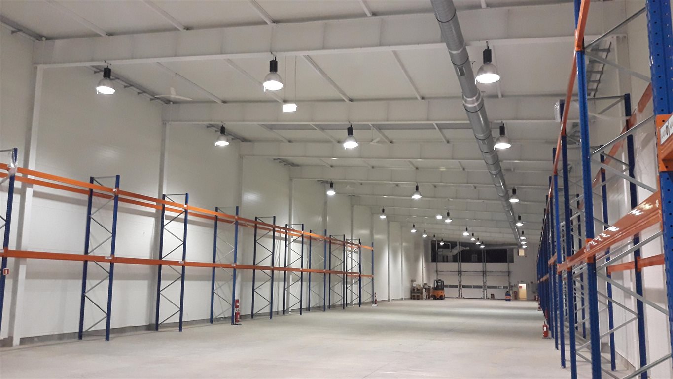 Lokal użytkowy na wynajem Giżycko 1 800m2 Foto 1 Lokal użytkowy na wynajem Giżycko 1 800m2 Foto 1