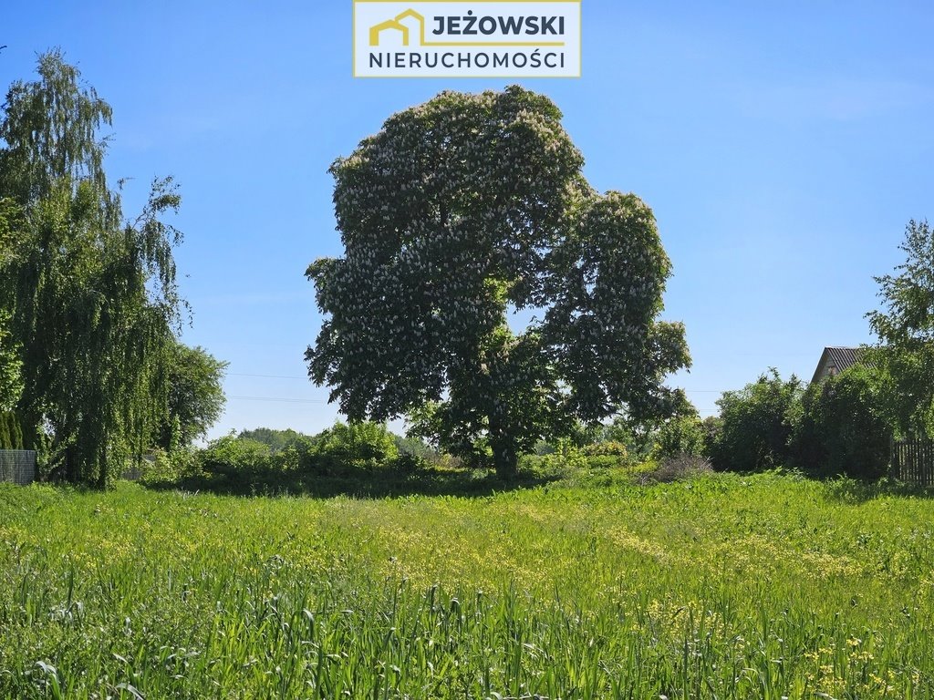 Działka budowlana na sprzedaż Skowieszynek  11 600m2 Foto 9