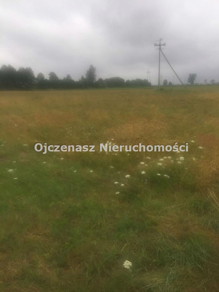 Działka rolna 12 100 m² z mediami, las i łąki Olimpin  12 100m2 Foto 1
