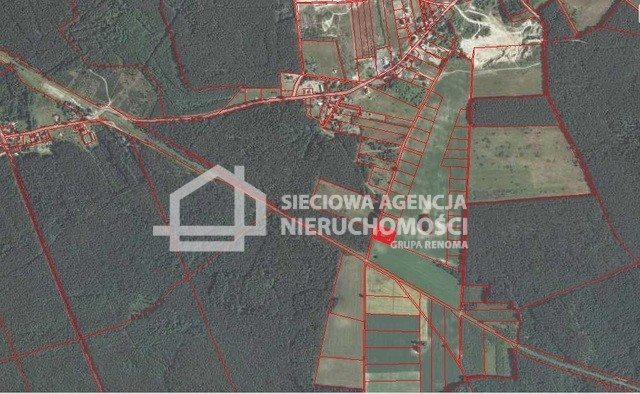 Działka 3000 m² w otulinie lasu, blisko morza Łebieniec  3 000m2 Foto 1