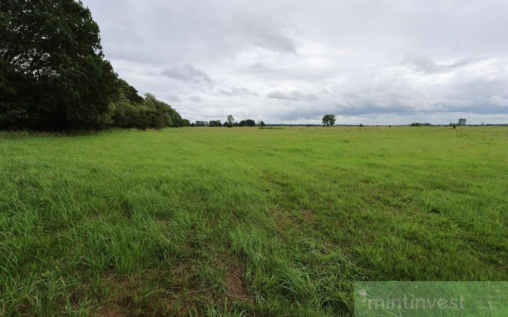 Na sprzedaż działka rolna 33 134 m² w Żarnowie Żarnowo  33 134m2 Foto 1