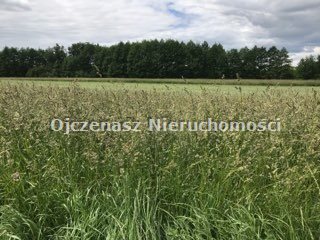 Działka z linią brzegową jeziora Lipienki, 3390 m² Lipienki  3 339m2 Foto 1