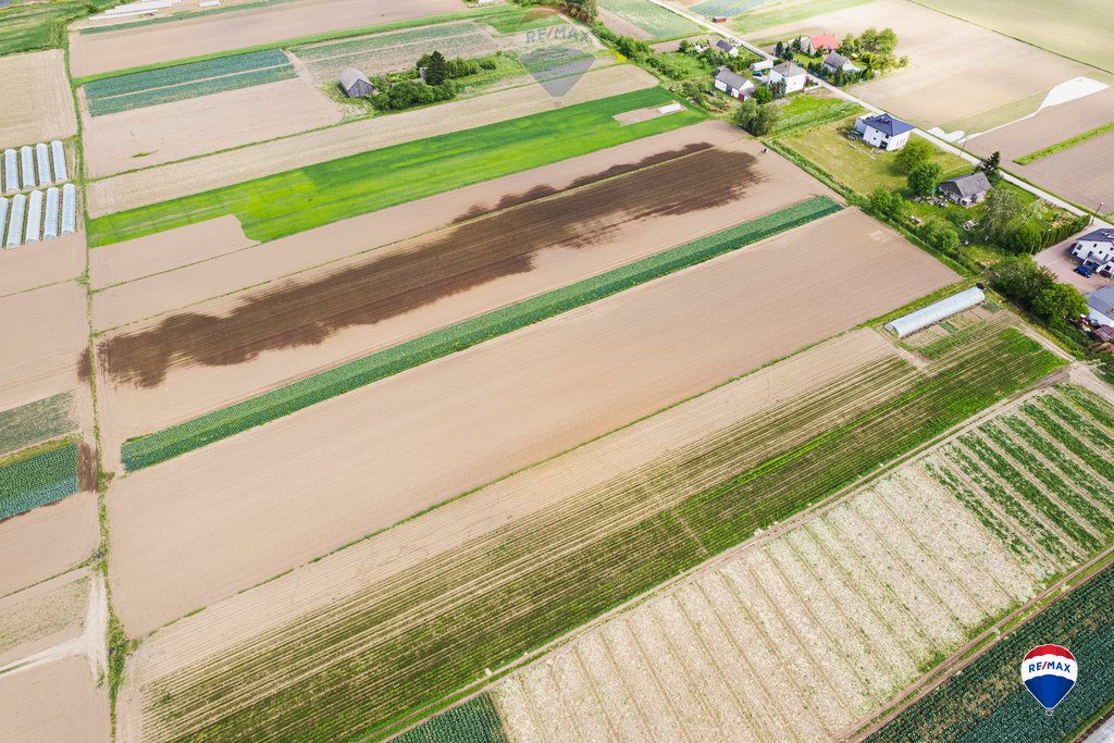 Działka budowlana na sprzedaż Igołomia  9 861m2 Foto 7