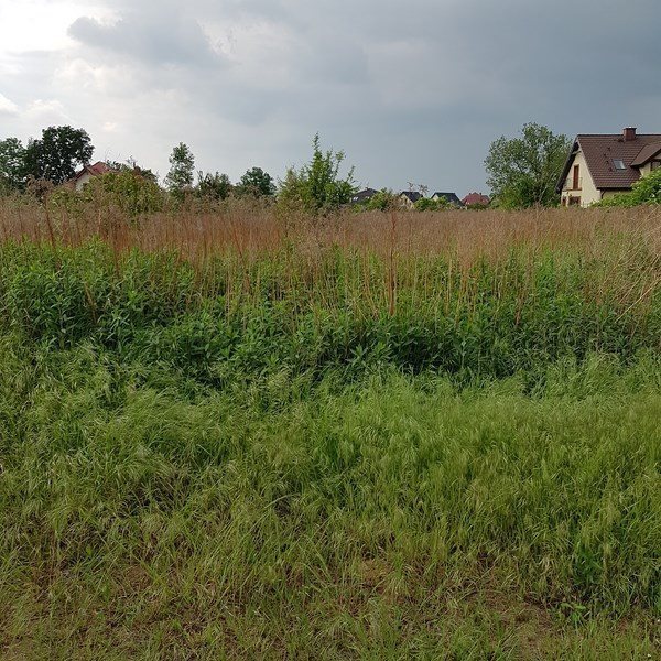 Działka budowlana na sprzedaż Lisowice, Kasztanowa 840m2 Foto 1 Działka budowlana na sprzedaż Lisowice, Kasztanowa 840m2 Foto 1
