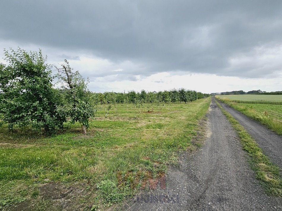 Działka siedliskowa na sprzedaż Jasieniec  39 500m2 Foto 17