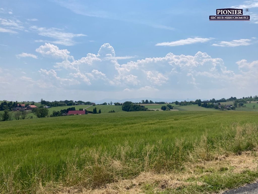 Działka rolna na sprzedaż Zamarski  70 000m2 Foto 2