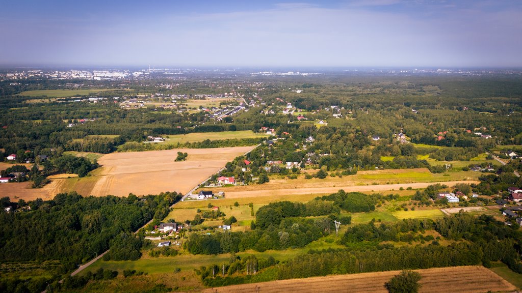 Działka budowlana na sprzedaż Łódź, Widzew, Moskuliki  1 497m2 Foto 6