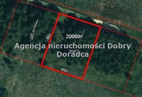 Działka budowlana na sprzedaż Żelechów, Reginy  2 000m2 Foto 1