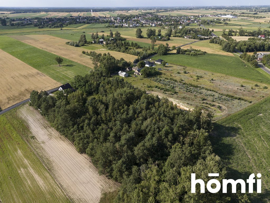 Działka inwestycyjna na sprzedaż Domanin  13 100m2 Foto 8