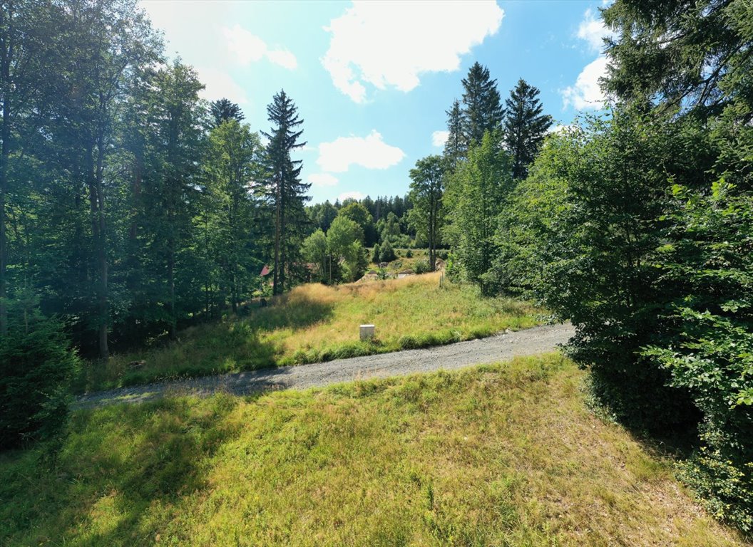 Działka budowlana na sprzedaż Szklarska Poręba, Huta, Kryształowa  1 006m2 Foto 6